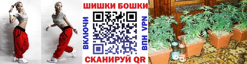 Купить  Миллерово  МАРИХУАНА SATIVA & INDICA 